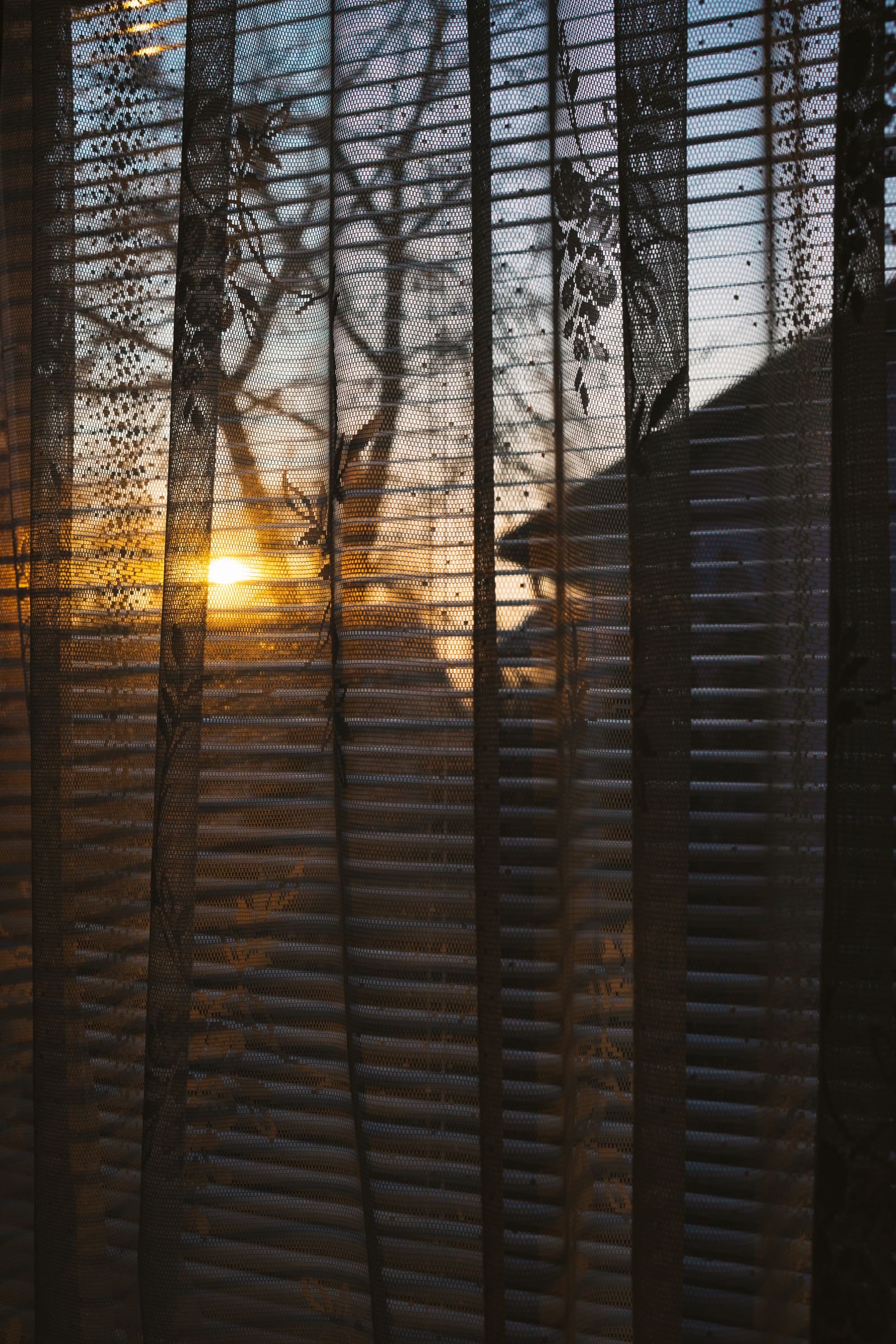 Sunlight through a window blind